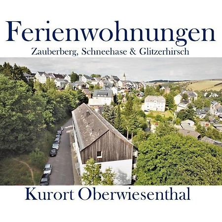 Ferienwohnungen Zauberberg, Schneehase & Glitzerhirsch Обервиезентал Екстериор снимка