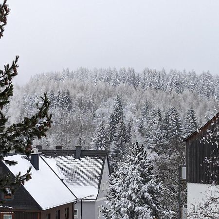 Ferienwohnungen Zauberberg, Schneehase & Glitzerhirsch Обервиезентал Екстериор снимка