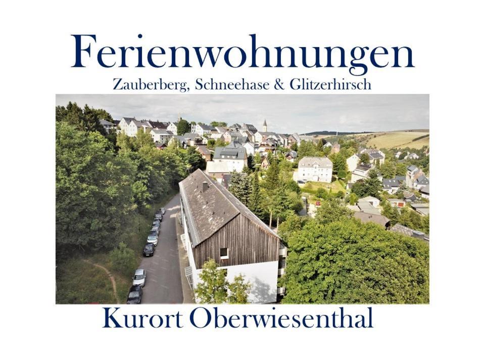 Ferienwohnungen Zauberberg, Schneehase & Glitzerhirsch Обервиезентал Екстериор снимка